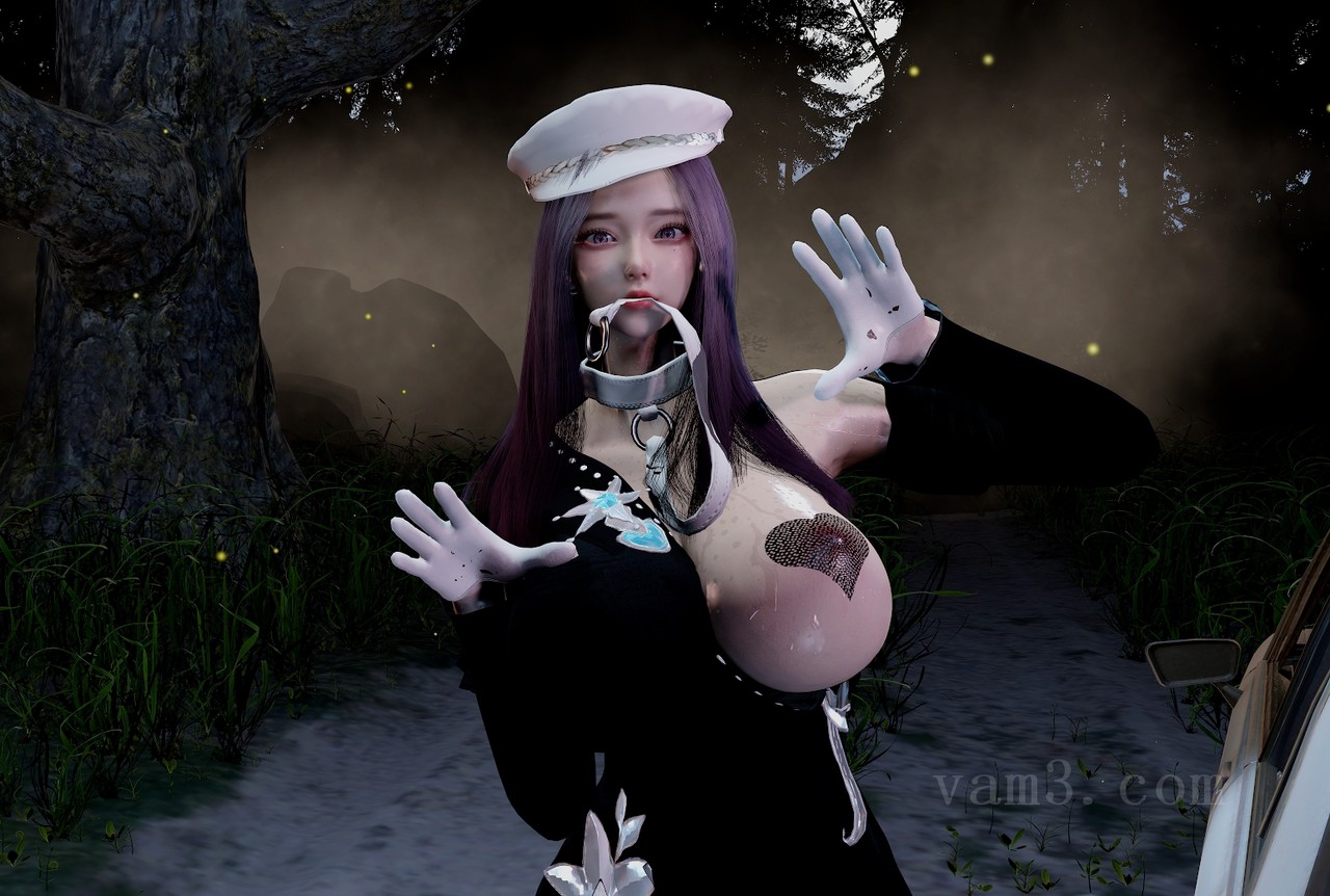 VAM模型-NOMO.鹿演