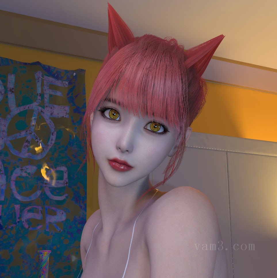 VAM资源-Solerrain.Makima