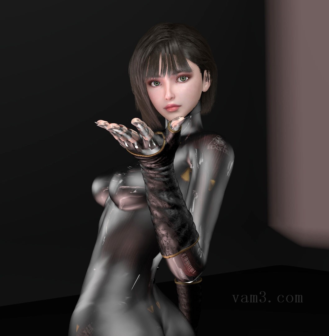 VAM模型-Yyvdb.Optimus