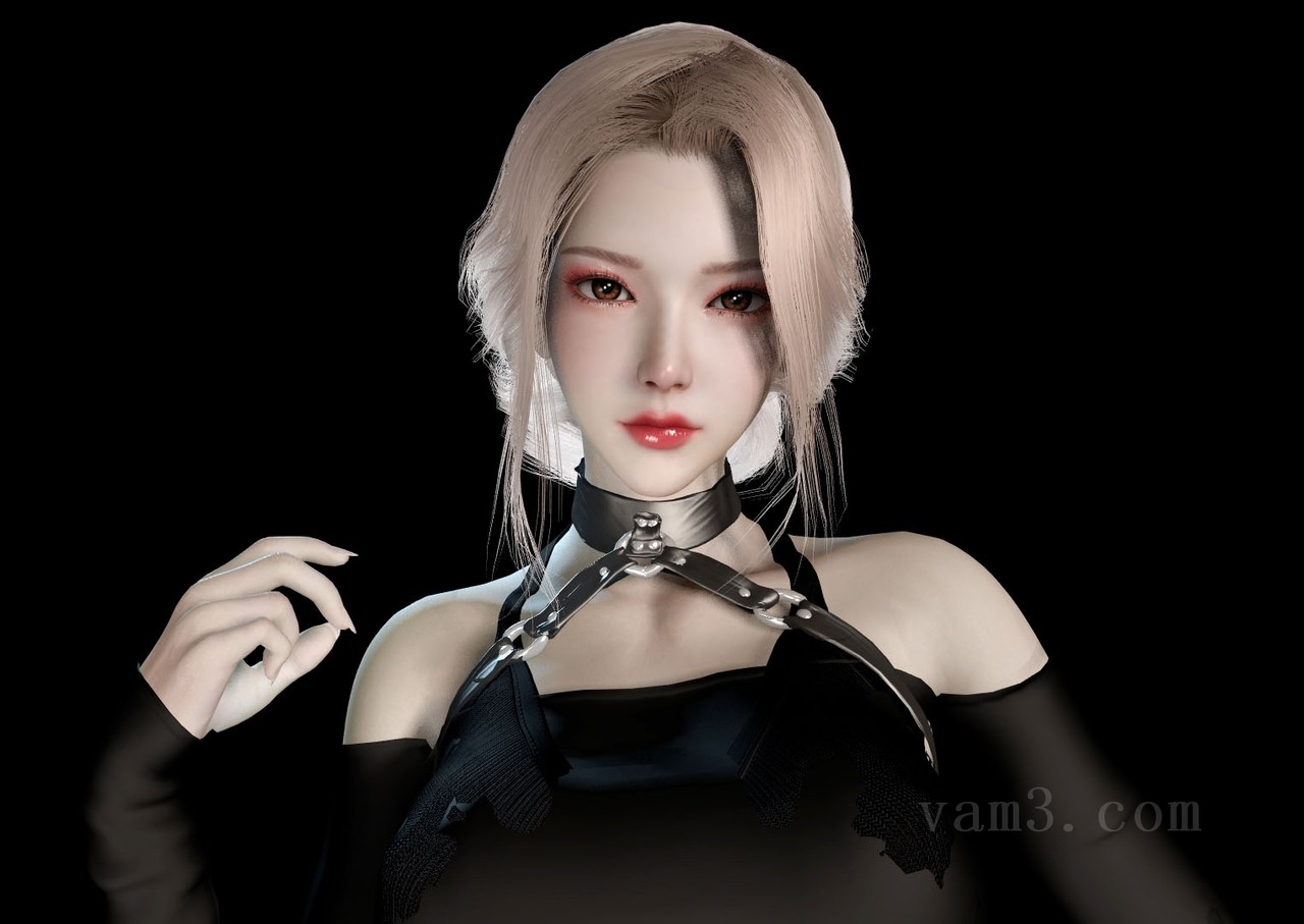 VAM模型-yangyang.piaoliangme