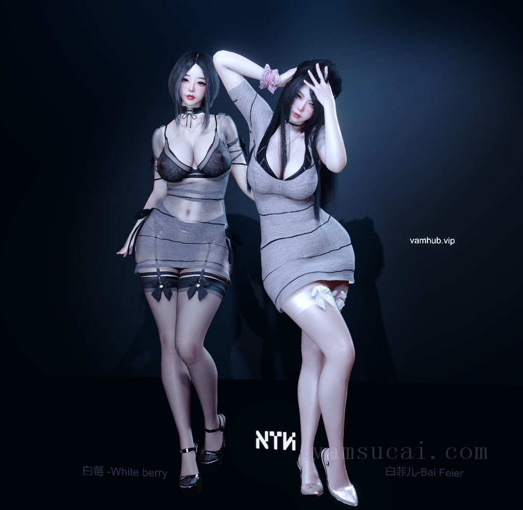 VAM模型-NTH-VAM.白姐妹双人